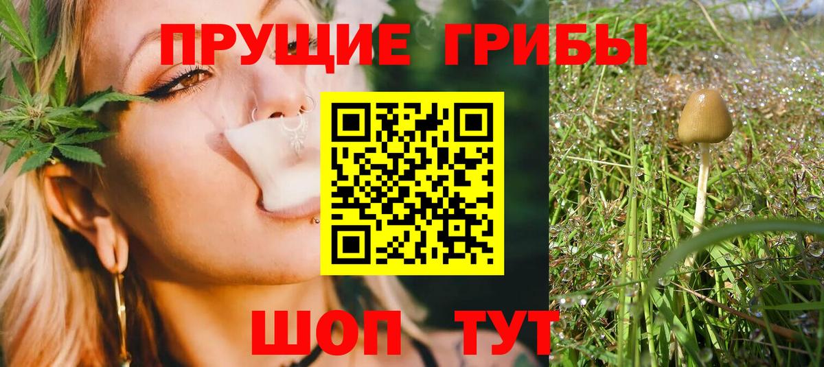 Галлюциногенные грибы Magic Shrooms  Псилоцибиновые грибы Psilocybe  Северобайкальск  Вход с VPN 