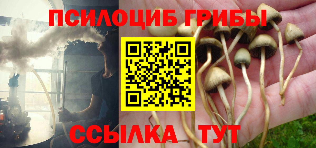 Псилоцибиновые грибы GOLDEN TEACHER Северобайкальск
